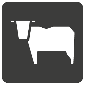 beef
